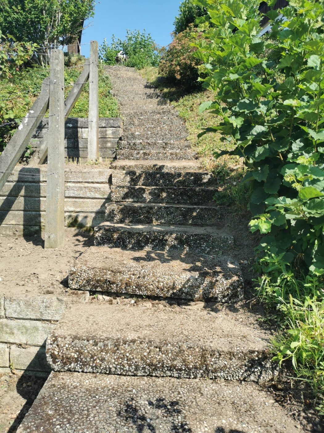 Gartenpflege: gepflegte Bepflanzung nach dem Einsatz von Stielecht