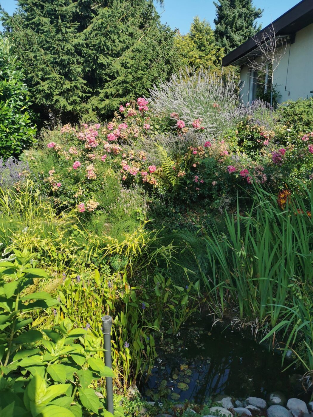 Garten vor der Pflege von Stielecht