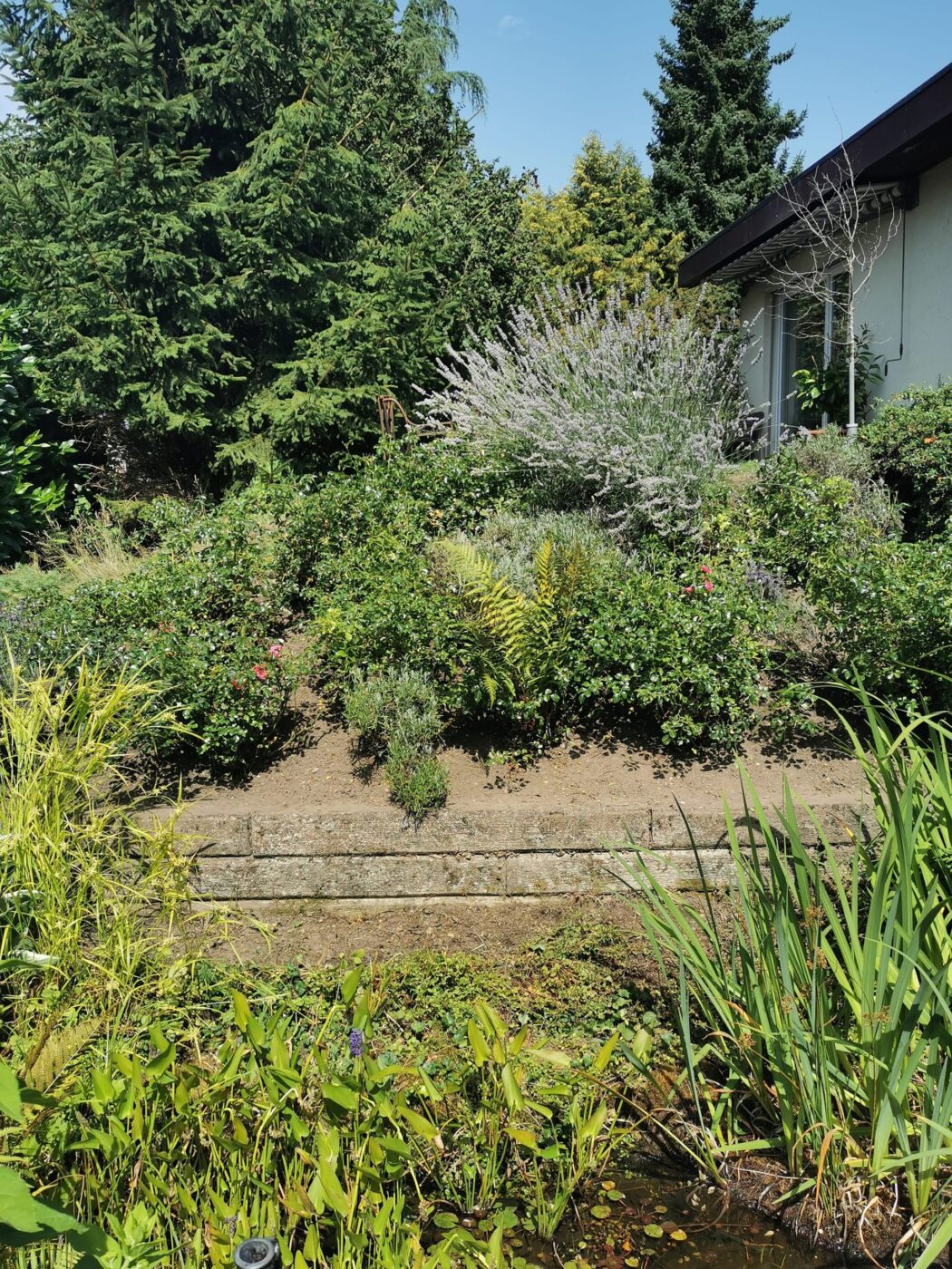 Gartenpflege in Düdingen: Garten nach der Pflege von Stielecht