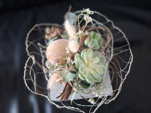 Drahtschale mit Sukkulenten & Schnecke – Natürliches Kunstwerk (nur noch 1 verfügbar)