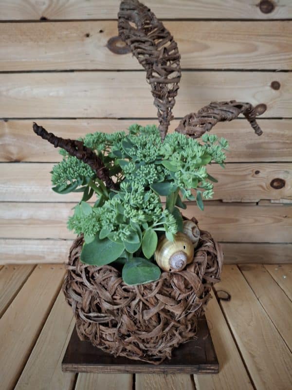 Sedum-Arrangement im Flechtkorb mit Schneckenhaus