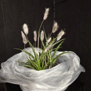 Sansevieria im handgewickelten Drahtgefäss – Stielecht Unikat