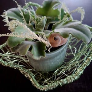 Kalanchoe im mintfarbenen Aludraht – klein | Stielecht Unikat