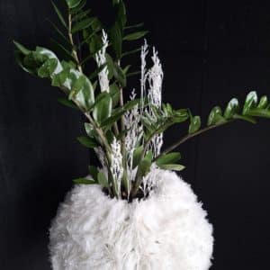 Zamioculcas im Strohkranz mit Sizoweb