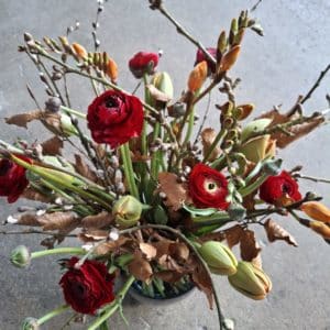 Frühlingsstrauss mit Ranunkeln, Tulpen & Fresien