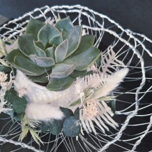Echeveria in dreifacher Drahtform mit Trockenmaterial