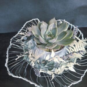 Echeveria in handgeformter Drahtschale mit Trockenmaterial